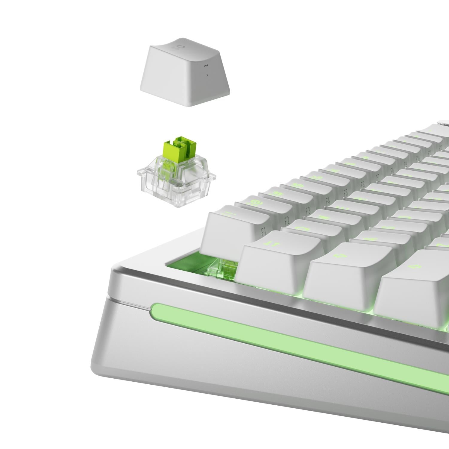 Glorious Raptor HE Clicky Switches (36 Pack)