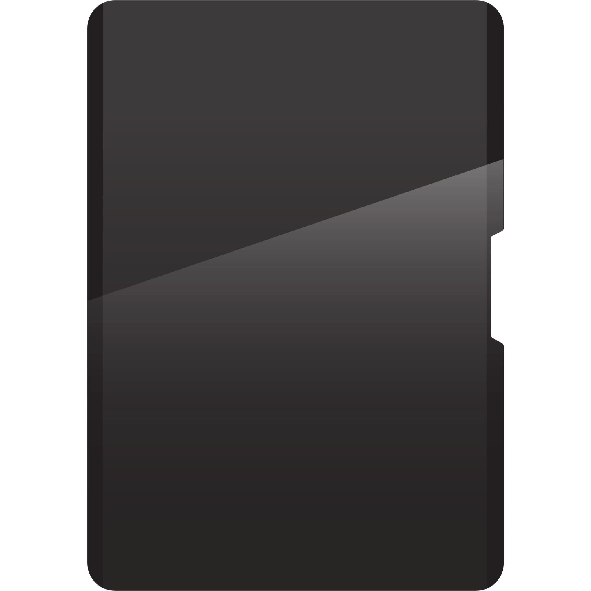 ZAGG Removable 4-Way Privacy Filter for Apple iPad Air 11' (M4/M3/M2)
