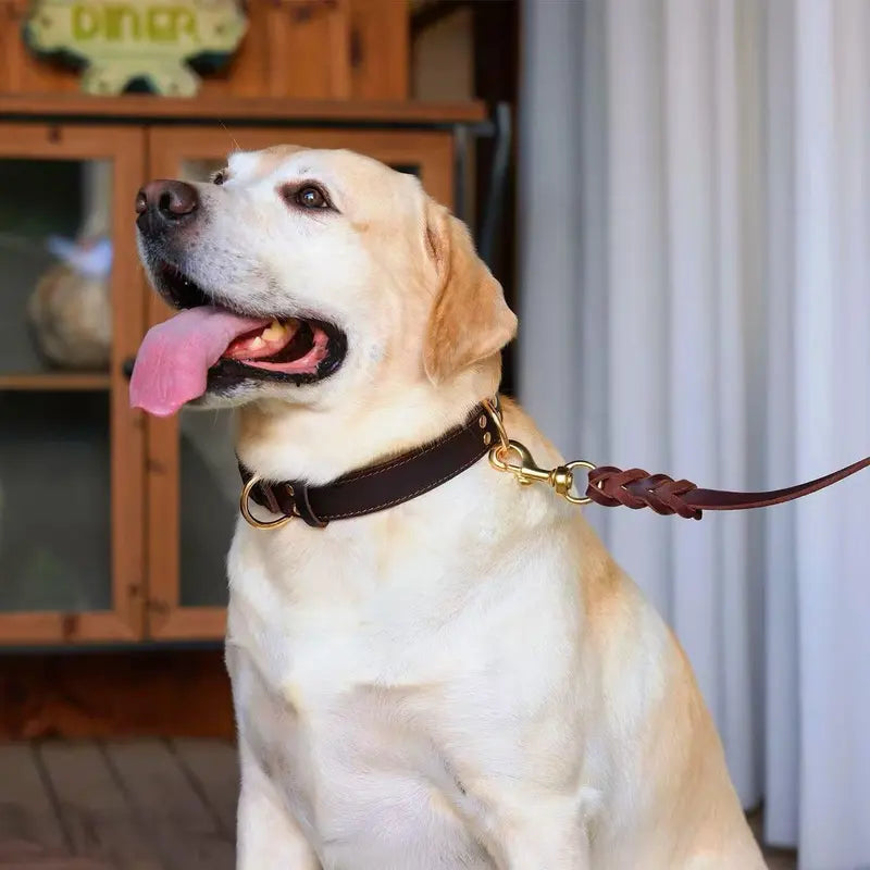 Premium Genuine Leather Dog Collar/Durable Real Leather Adjustable Collars For Male Female (size: XL) Wholesale Hub