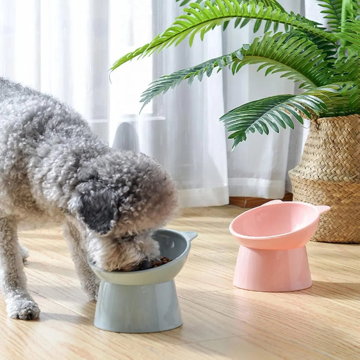 Cat bowl - Non-slip feeder - Tilting bowl - Anti-vomiting - Angled design - Blue - Perfect for cats - Indoor use - Pet accessories - Pink Wholesale Hub