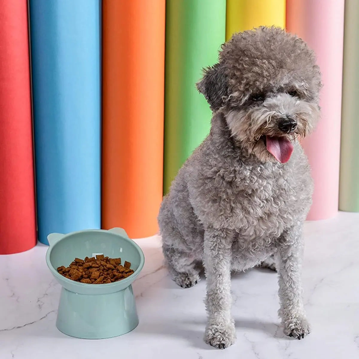 Cat bowl - Feeders - Tilting bowl - Anti-vomiting - Angled design - Blue - Perfect for cats - Indoor use - Pet accessories - Green Wholesale Hub