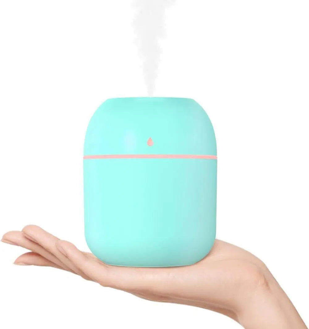 Portable Mini Humidifier 0.22L with USB, Automatic Shutoff, 2 Spray Modes for Bedroom Office and Car, Green Wholesale Hub