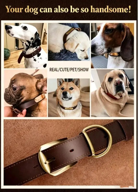Premium Genuine Leather Dog Collar/Durable Real Leather Adjustable Collars For Male Female(L,Black) Wholesale Hub
