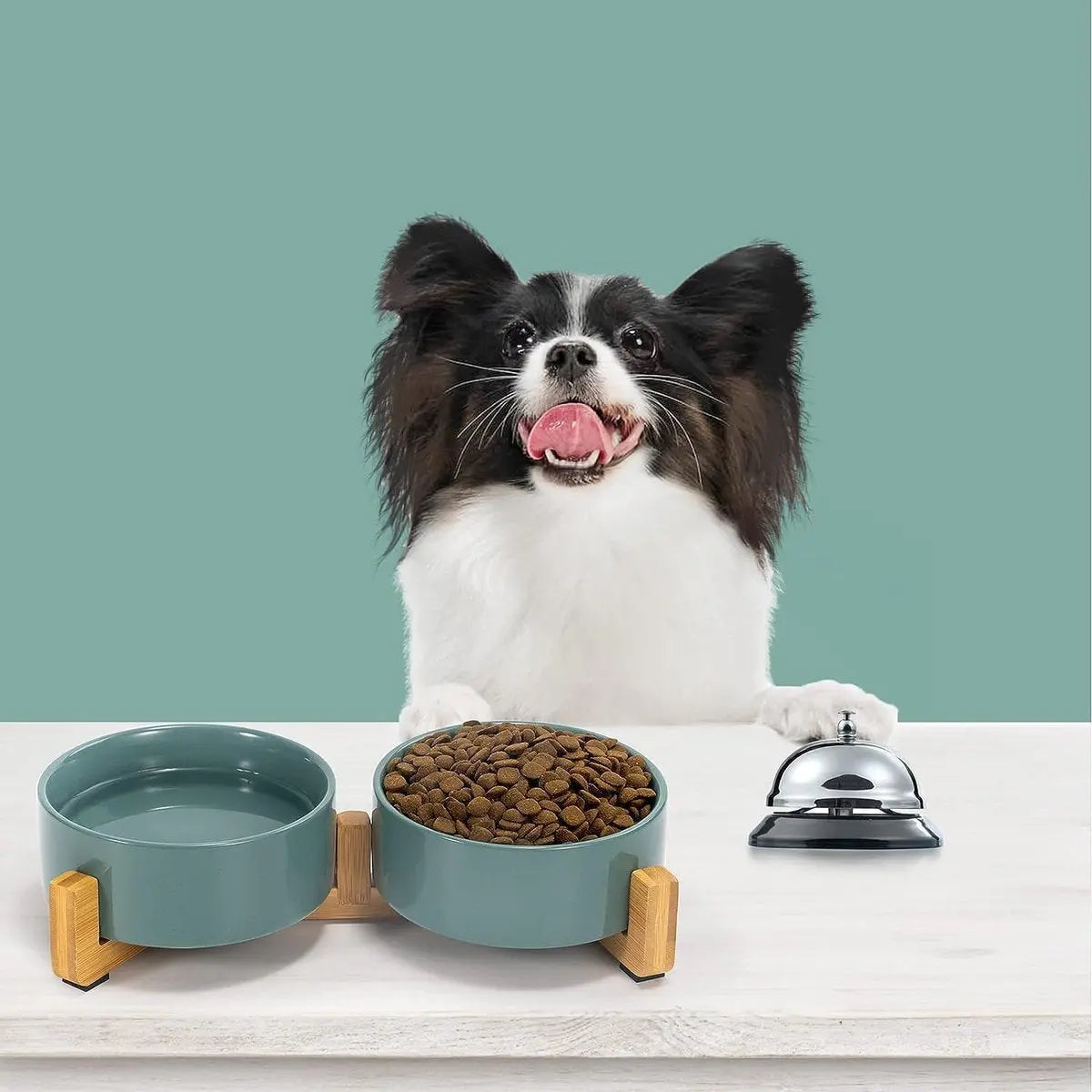 Cat Litter Box - Dog Bowl - Ceramic Food Bowl Set for Cat and Dog - With Wooden Base, Modern and Cute Design, Weighted and Non-Slip - Suitable for food and water - Suitable for cats, small dogs, and puppies (Capacity: 390 ml / Diameter: 13 cm) Wholesale Hub