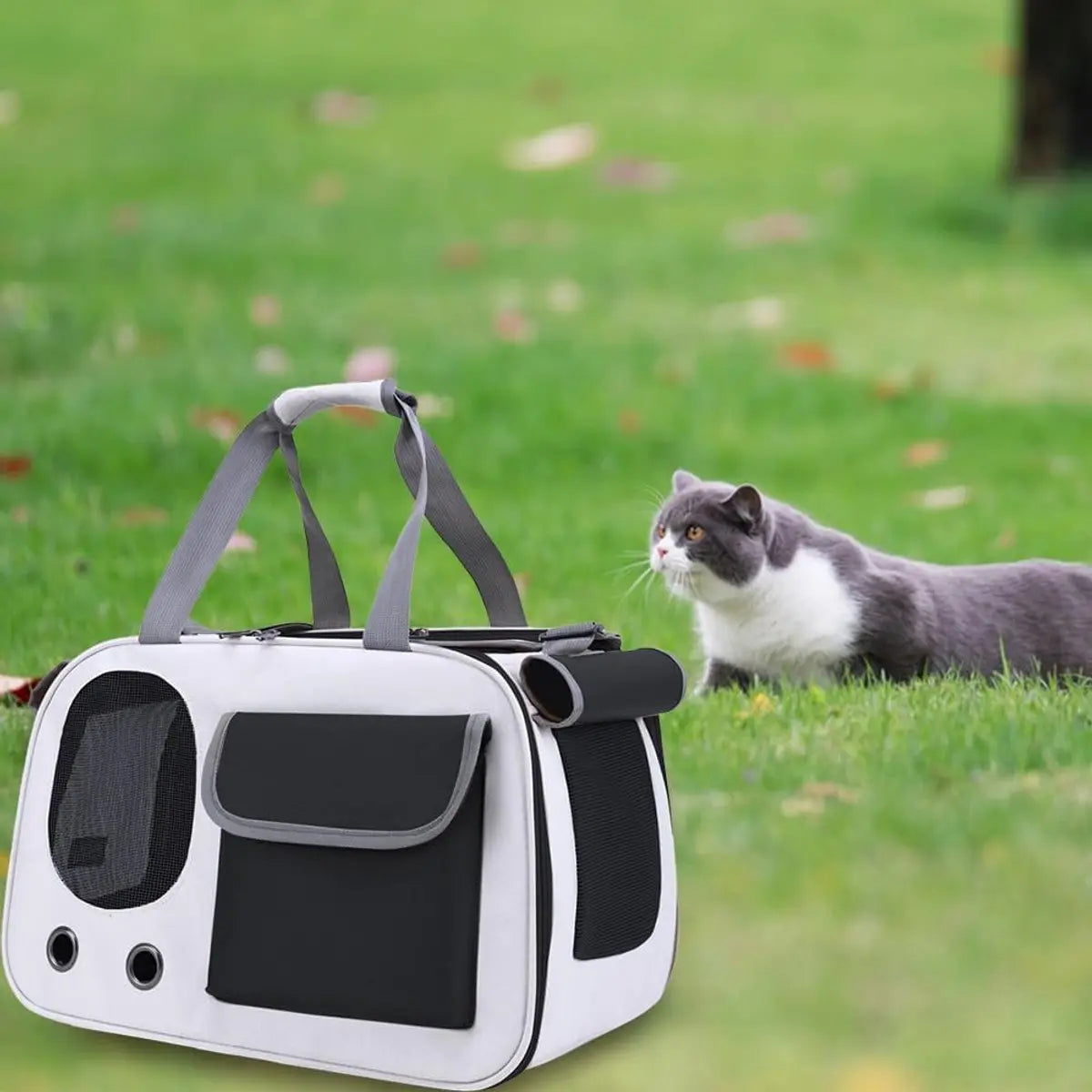 Cat and Dog Transport Bag - Travel Basket - Foldable Cat Transport Box - Cat Bag - Pet Carrier Bag with breathable holes and pockets - for medium-sized cats, small dogs - Dog Bag - 45 x 28 x 26 cm - Black Wholesale Hub