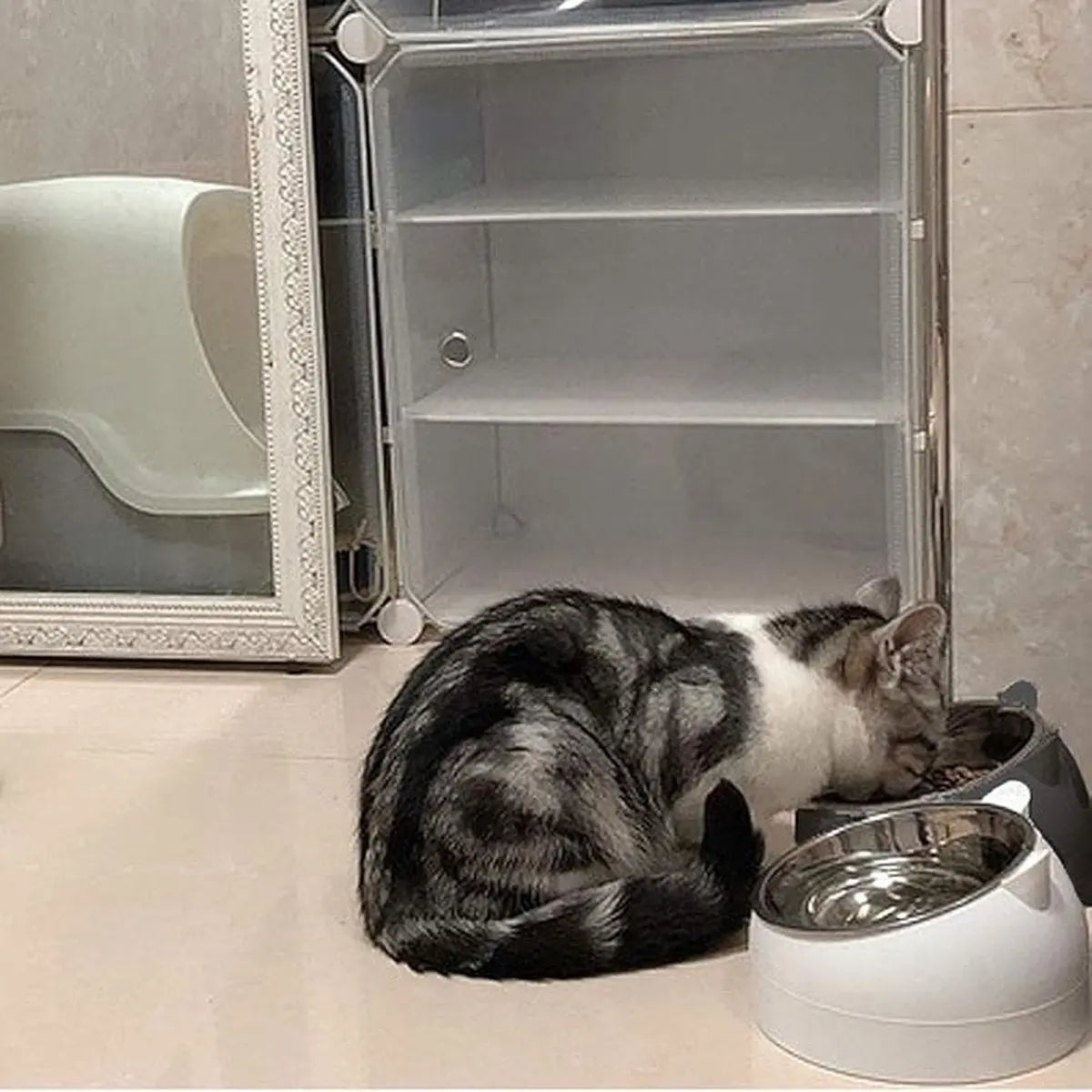 2 pieces - food bowls for cats - Dog food bowl - black, white - 200 ml - Drinking bowl for dogs and cats - Stainless steel - With cat head shape Wholesale Hub