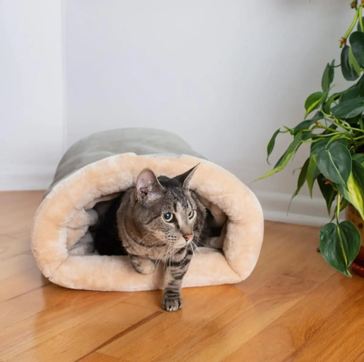 Cat Bed - Cat Basket - Winter Warm - Pet Basket - Autumn/Winter Dog Bed - Pet Cat - Puppy - Cat Bed - Warm - 65*48cm Wholesale Hub