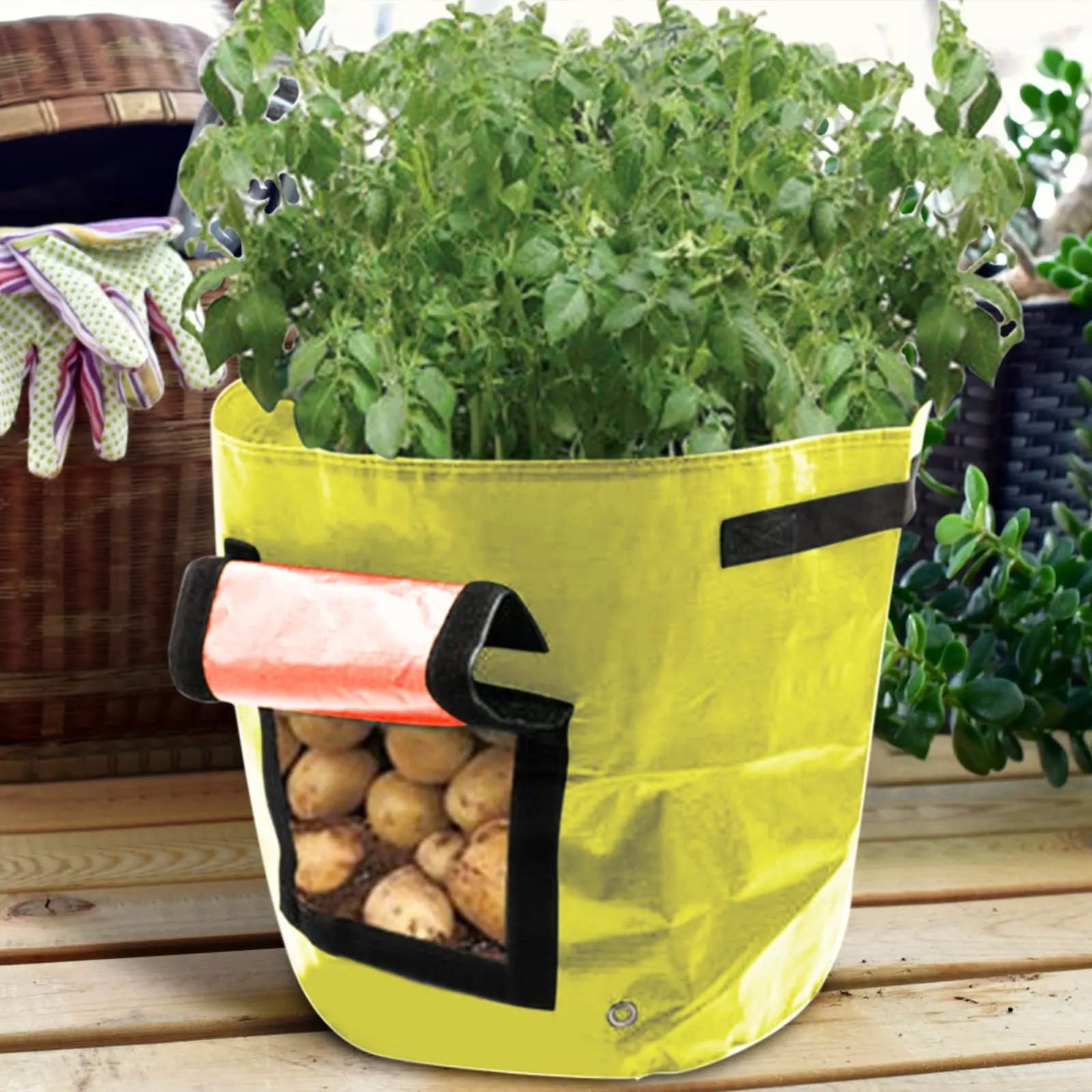 Suncoda Summer Savings 34x35cm Potato Grow Bag with Side Window & Handles 12" x 14" Gray#2 Wholesale Hub