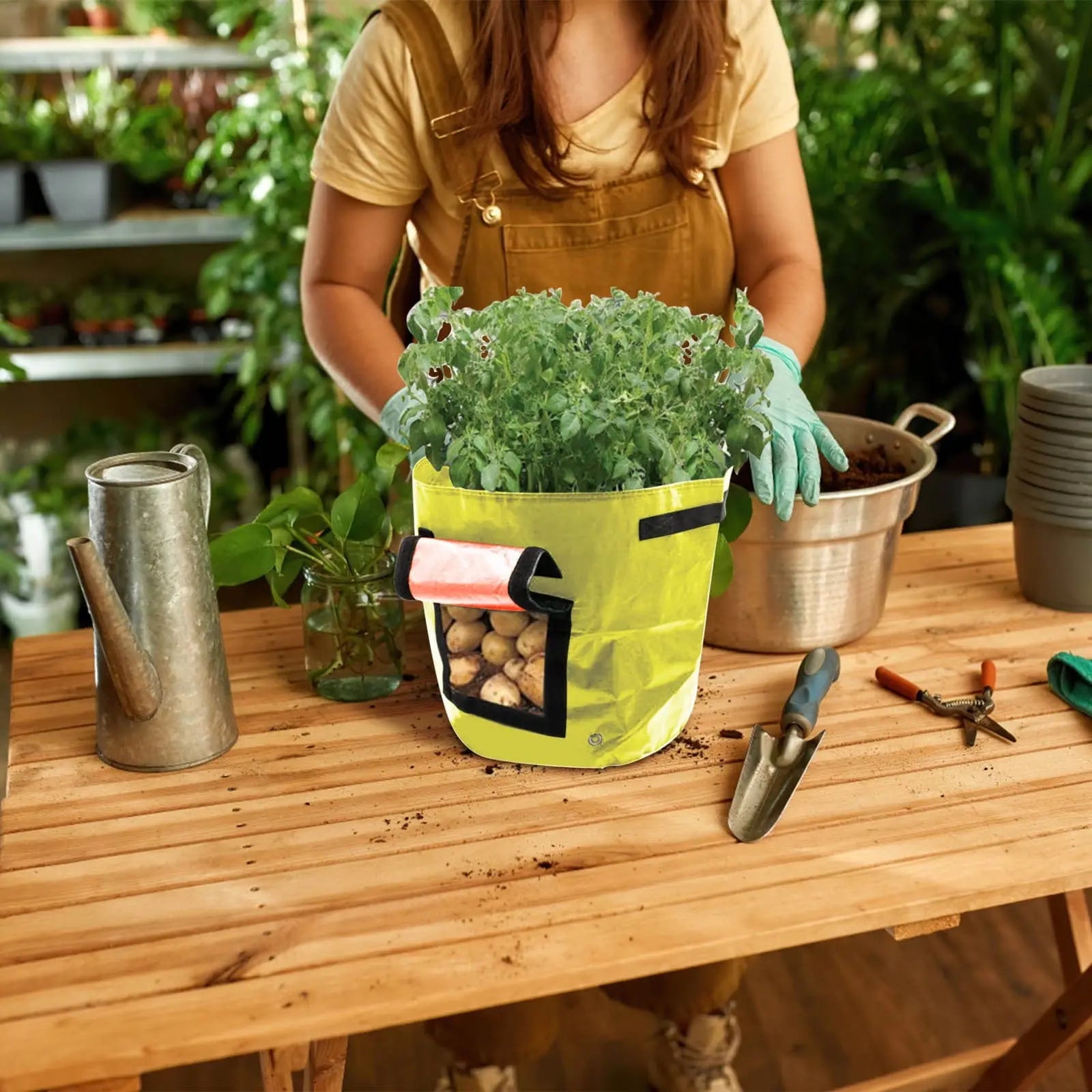 Suncoda Summer Savings 34x35cm Potato Grow Bag with Side Window & Handles 12" x 14" Gray#2 Wholesale Hub