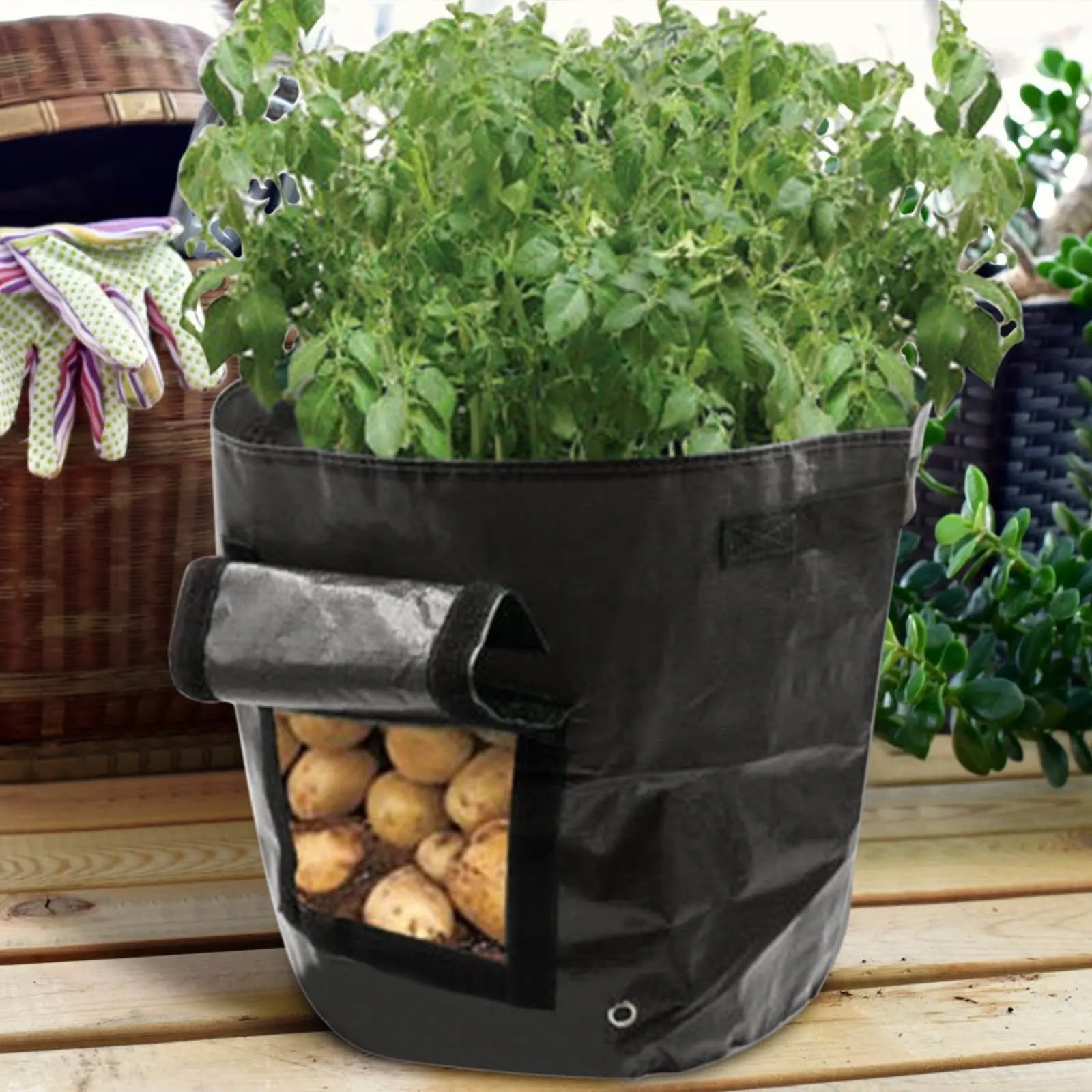 Suncoda Summer Savings 34x35cm Potato Grow Bag with Side Window & Handles 14" x 20" Gray#4 Wholesale Hub