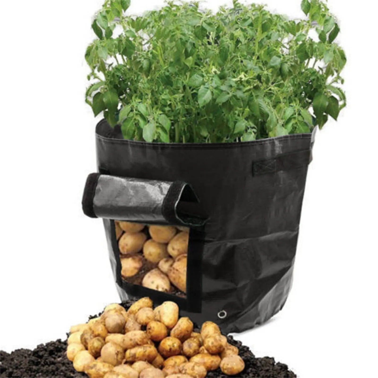 Suncoda Summer Savings 34x35cm Potato Grow Bag with Side Window & Handles 14" x 20" Gray#4 Wholesale Hub