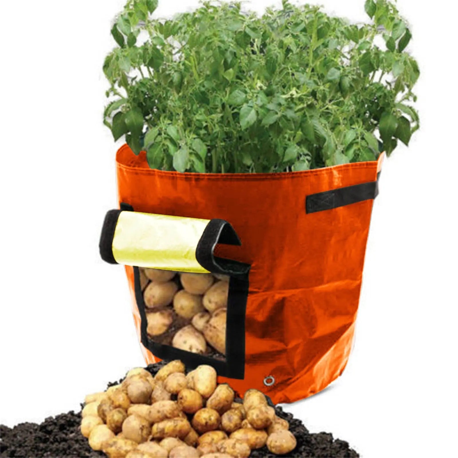 Suncoda Summer Savings 34x35cm Potato Grow Bag with Side Window & Handles 13" x 14" Orange#1 Wholesale Hub