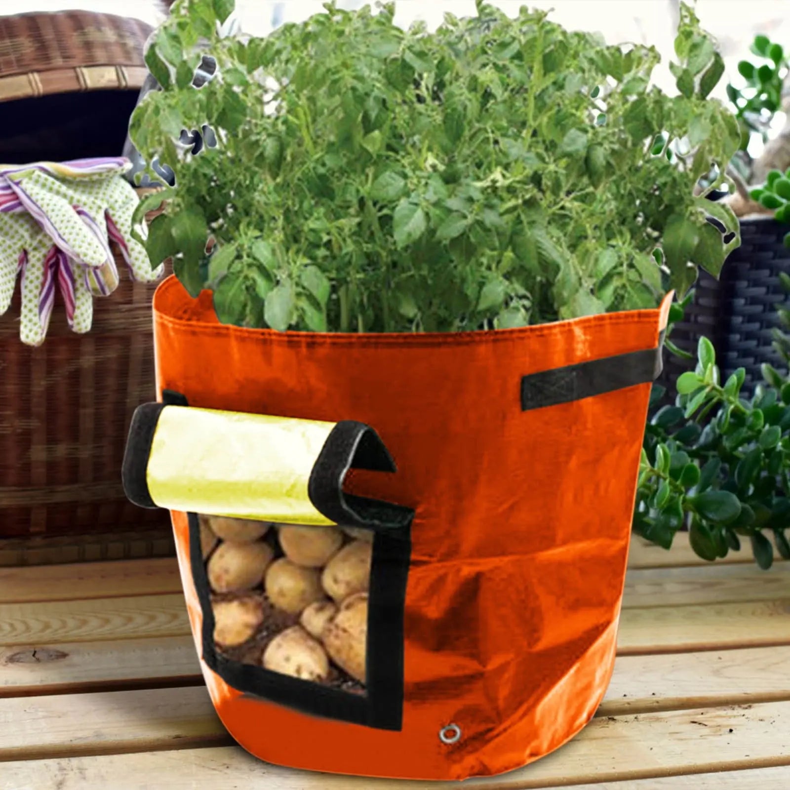 Suncoda Summer Savings 34x35cm Potato Grow Bag with Side Window & Handles 13" x 14" Orange#1 Wholesale Hub