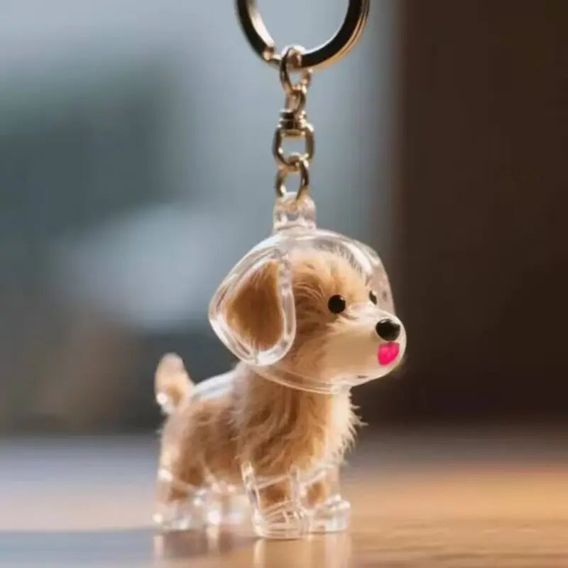 Keychain - Pet Hair - Storage Box - Pendants - Capsule Toy - Dog Hair Capsule - Memorial Pendant - Bag Keychain - Pendants - Memory Capsule Pendant - Cat Hair Collection - DIY - 1 Piece Wholesale Hub