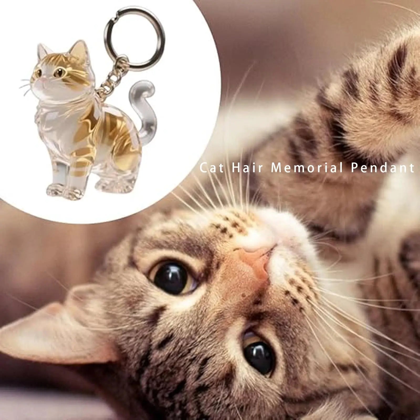 Keychain - Pet Hair - Storage Box - Pendants - Capsule Toy - Dog Hair Capsule - Memorial Pendant - Bag Keychain - Pendants - Memory Capsule Pendant - Cat Hair Collection - DIY - 1 Piece Wholesale Hub