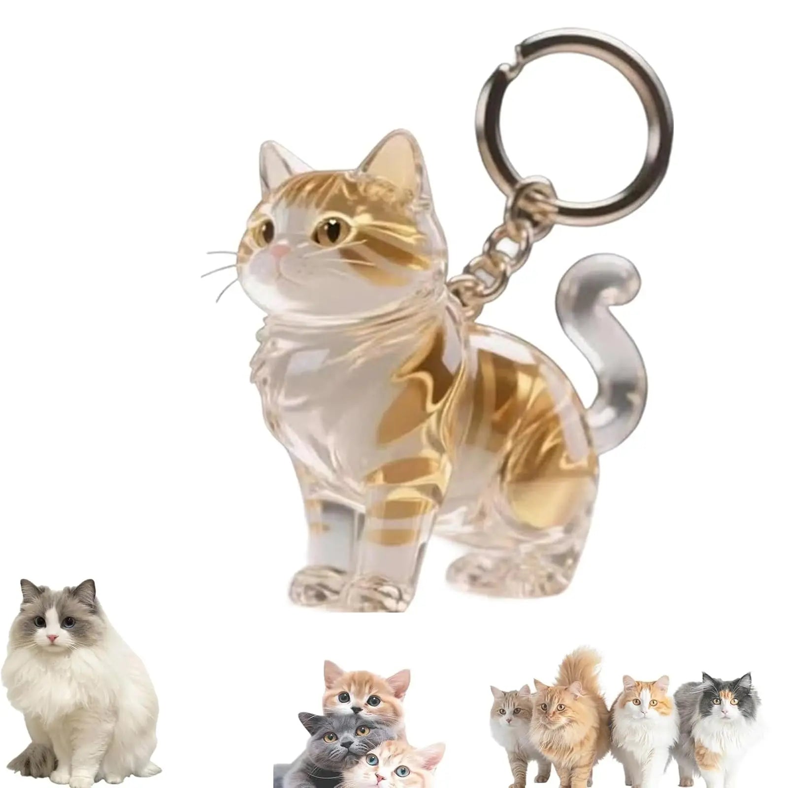 Keychain - Pet Hair - Storage Box - Pendants - Capsule Toy - Dog Hair Capsule - Memorial Pendant - Bag Keychain - Pendants - Memory Capsule Pendant - Cat Hair Collection - DIY - 1 Piece Wholesale Hub