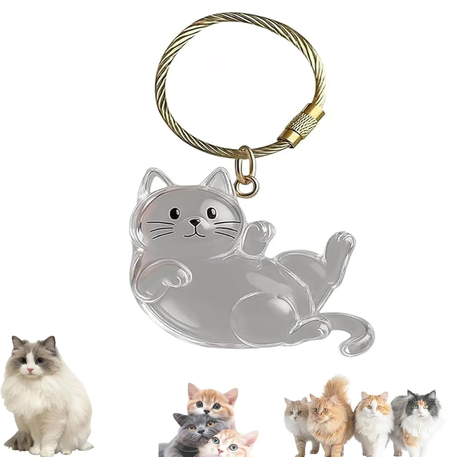 Keychain - Pet Hair - Storage Box - Pendants - Capsule Toy - Dog Hair Capsule - Memorial Pendant - Bag Keychain - Pendants - Memory Capsule Pendant - Cat Hair Collection - DIY - 1 Piece Wholesale Hub