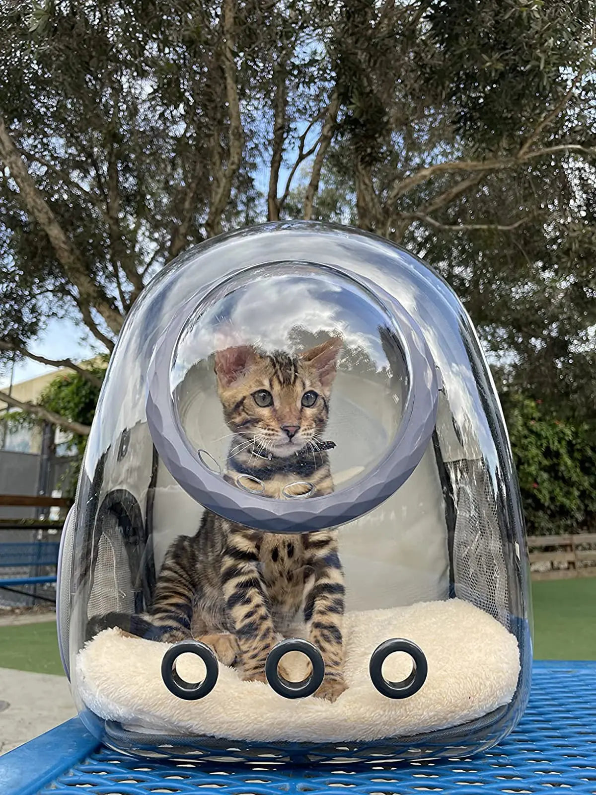 Cat Backpack - Cat Travel Basket - Cat Carrier - Small Dog Backpack - Transparent Pet Backpack - Cat Transport Box - Dog Travel Bag - Breathable Cat Basket - Backpack with Window - Pet Supplies - Hiking Backpack - Black - 1 Piece Wholesale Hub