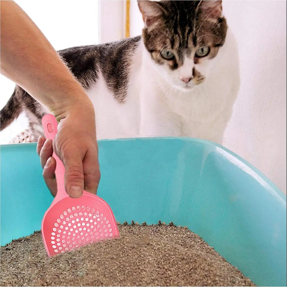 Cat Litter Scoop | Poop Scoop | 25 CM | Small Holes | Green Wholesale Hub