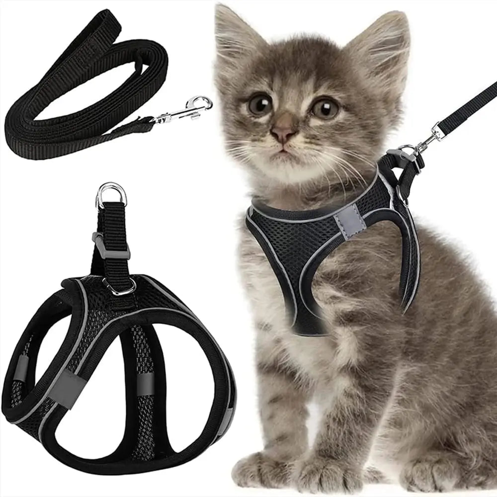 Escape-Proof Cat Harness & Leash Set for Cats, Kittens, Dogs, Puppies - XXS Size Wholesale Hub