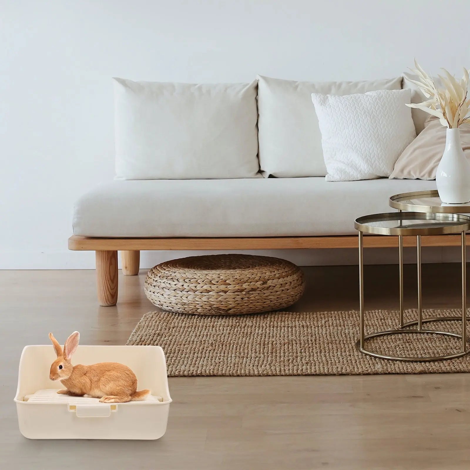 HOOWIFFY Pet Litter Box White Plastic, Durable for Rabbit and Small Animal Use Wholesale Hub