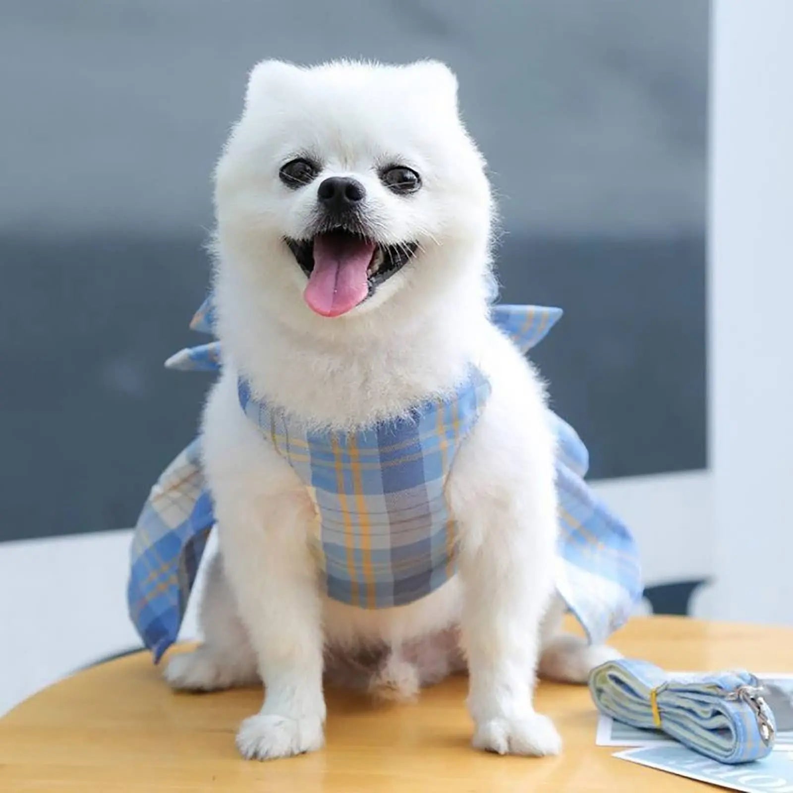 Dog Harness and Leash Set, Cute Bow Tie Plaid Harnesses for Puppy Cat, Adjustable Pet Kitties Vest, Breathable Harness Traction Rope for Boy Girl Small Animal(Skirt Sky Blue,M for 5.5-8.8lbs Dog) Wholesale Hub
