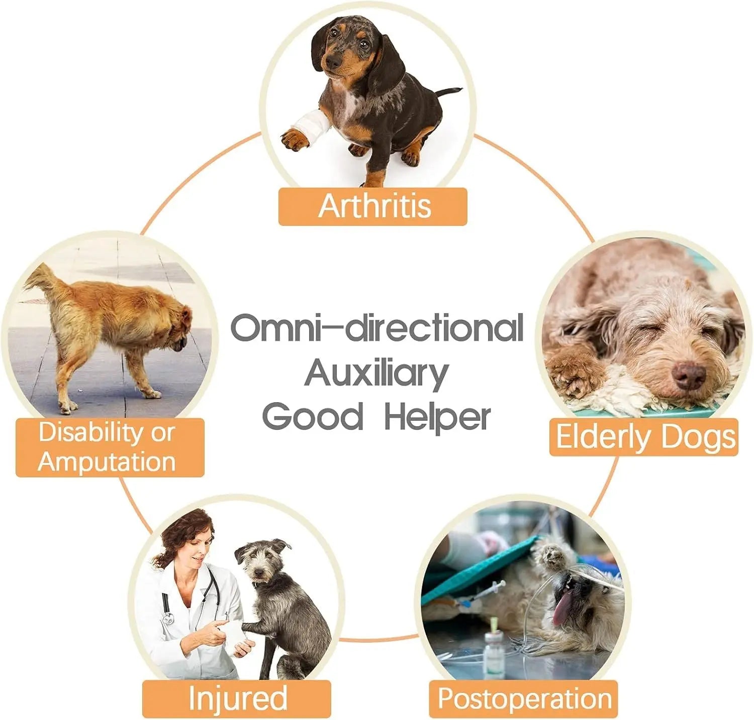 Dog Lift Harness - Adjustable Support for Medium Large Dogs, Comfortable Design with Padded Back Legs for Elderly, Injured, Arthritic, Senior, Disabled Dogs(M) Wholesale Hub