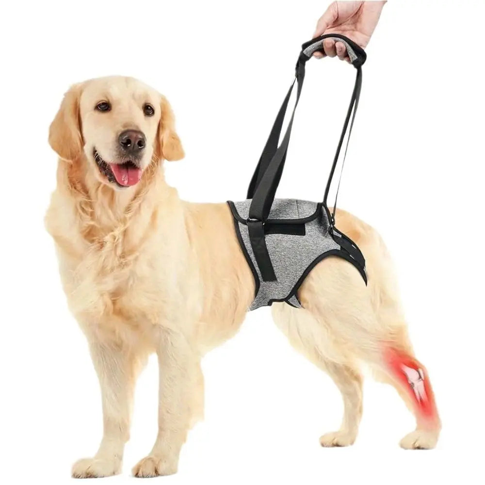 Dog Lift Harness - Adjustable Support for Medium Large Dogs, Comfortable Design with Padded Back Legs for Elderly, Injured, Arthritic, Senior, Disabled Dogs(M) Wholesale Hub