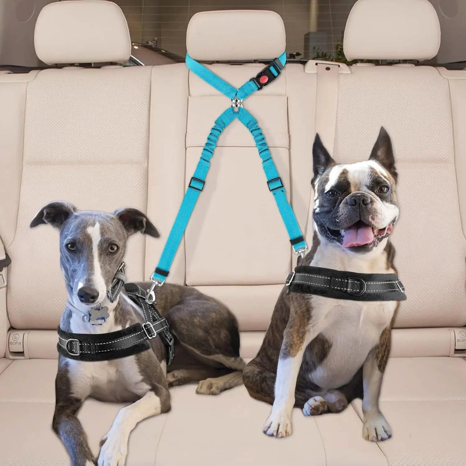 2pcs Double Dog Seat Belt, New Dual Pet Car Headrest Restraint Safety Seatbelt No Tangle Dog Leash Duty Adjust Elastic Bungee Puppy Lead Splitter Connect Harness in Vehicle Travel for 2 Dogs Wholesale Hub
