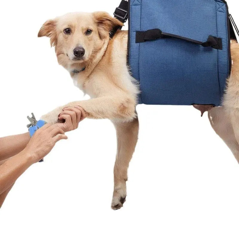 Dog Carry Sling, Emergency Backpack Pet Legs Support & Rehabilitation Dog Lift Harness for Nail Trimming, Dog Carrier for Senior Dogs Joint Injuries, Arthritis, Up and Down Stairs(L, Blue) Wholesale Hub