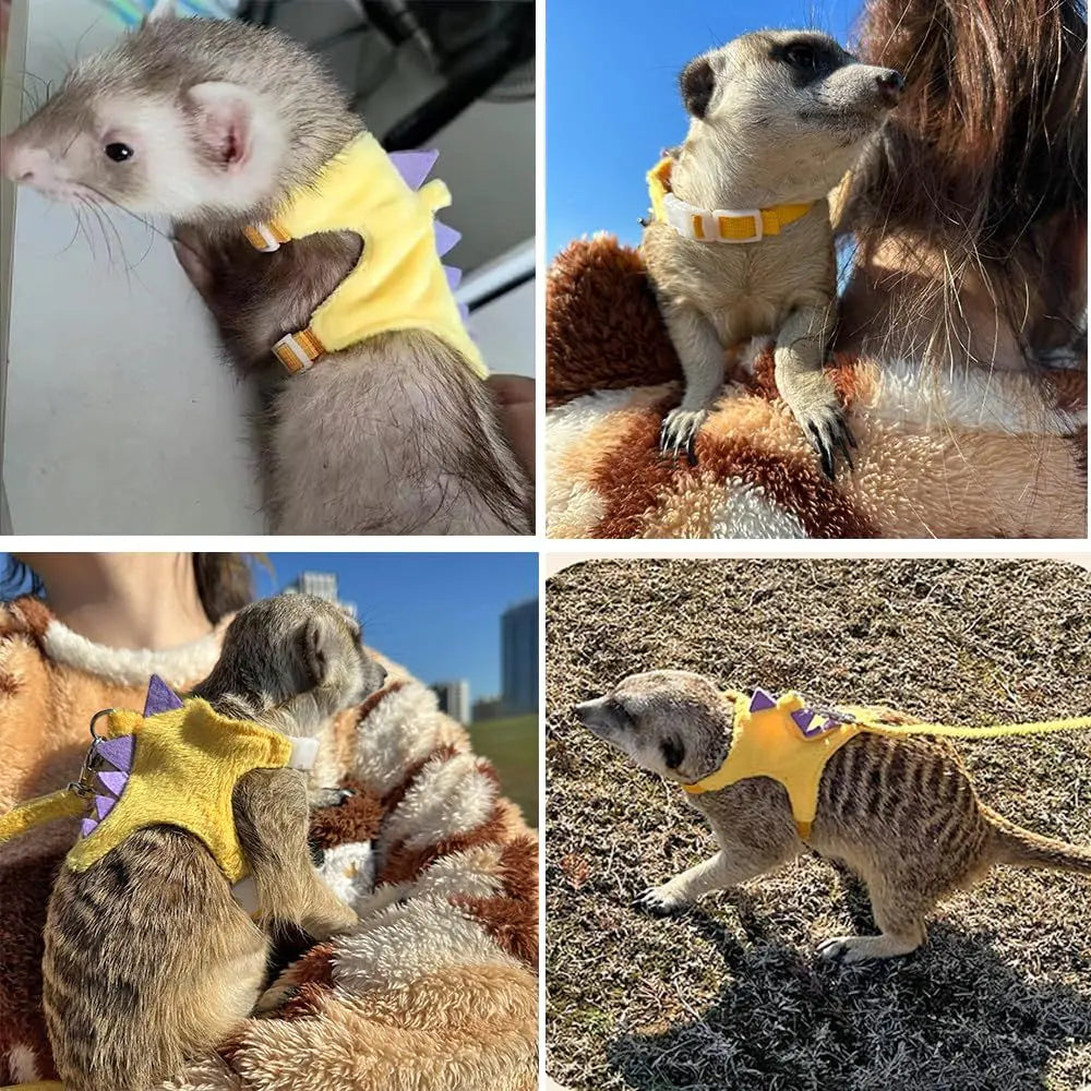 Ferret Harness and Leash Set Small Animals Vest Harness Baby Rabbit Guinea Pig Teacup Chihuahua Mouse and Other Small pet.(Yellow ) Wholesale Hub