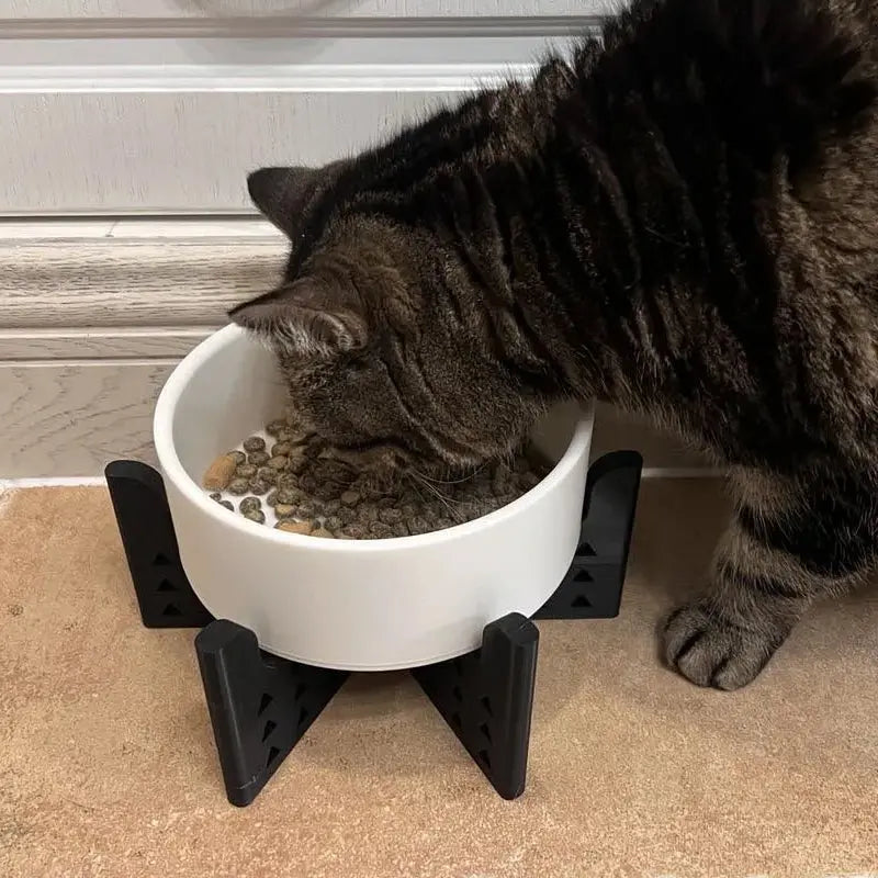 Elevator Pet Bowl, Neck Support Food Bowl, Easy to Clean (Elevator Cat Bowl), Black and White Wholesale Hub