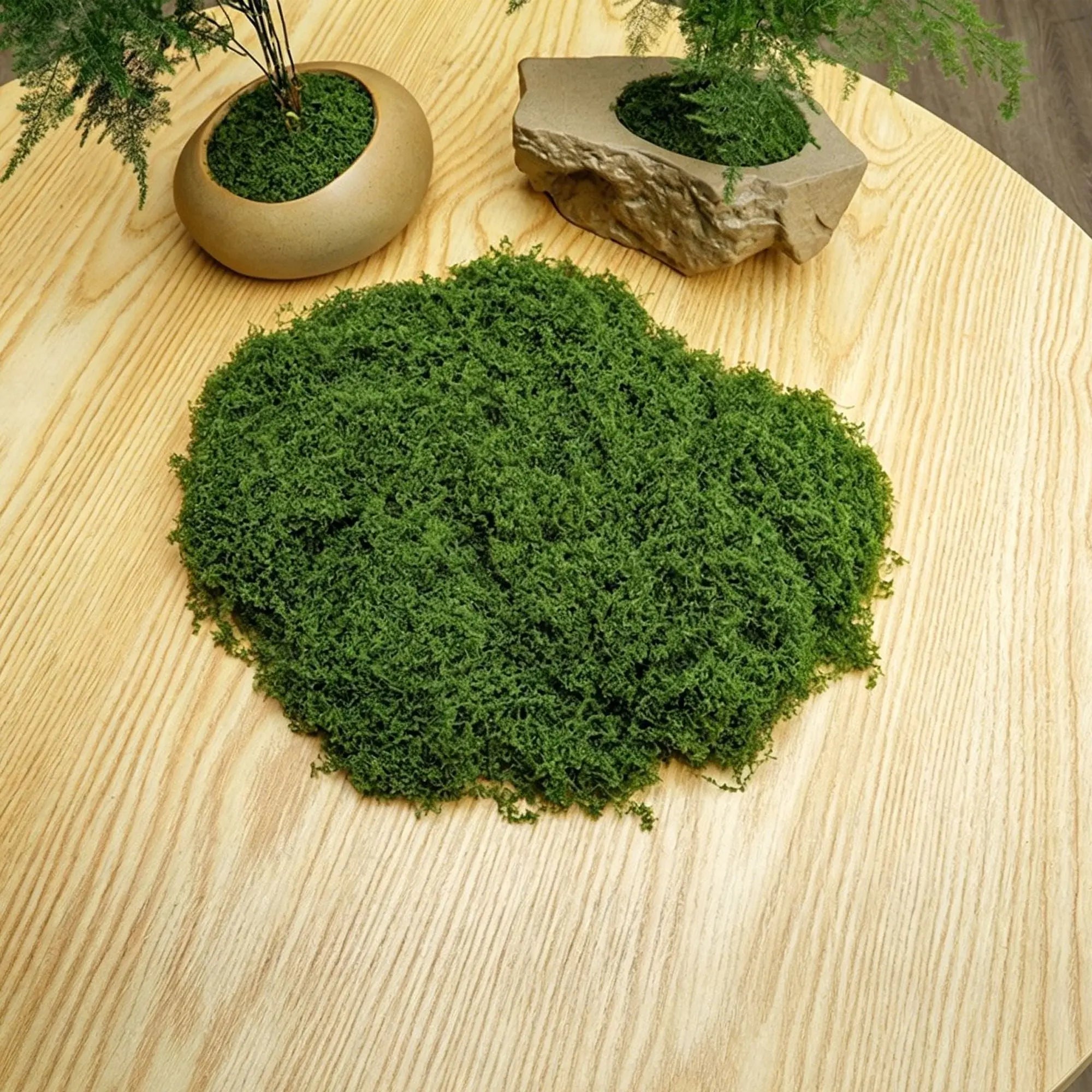 diy artificial moss lawn-Dark Green Filamentous Moss 20g Wholesale Hub