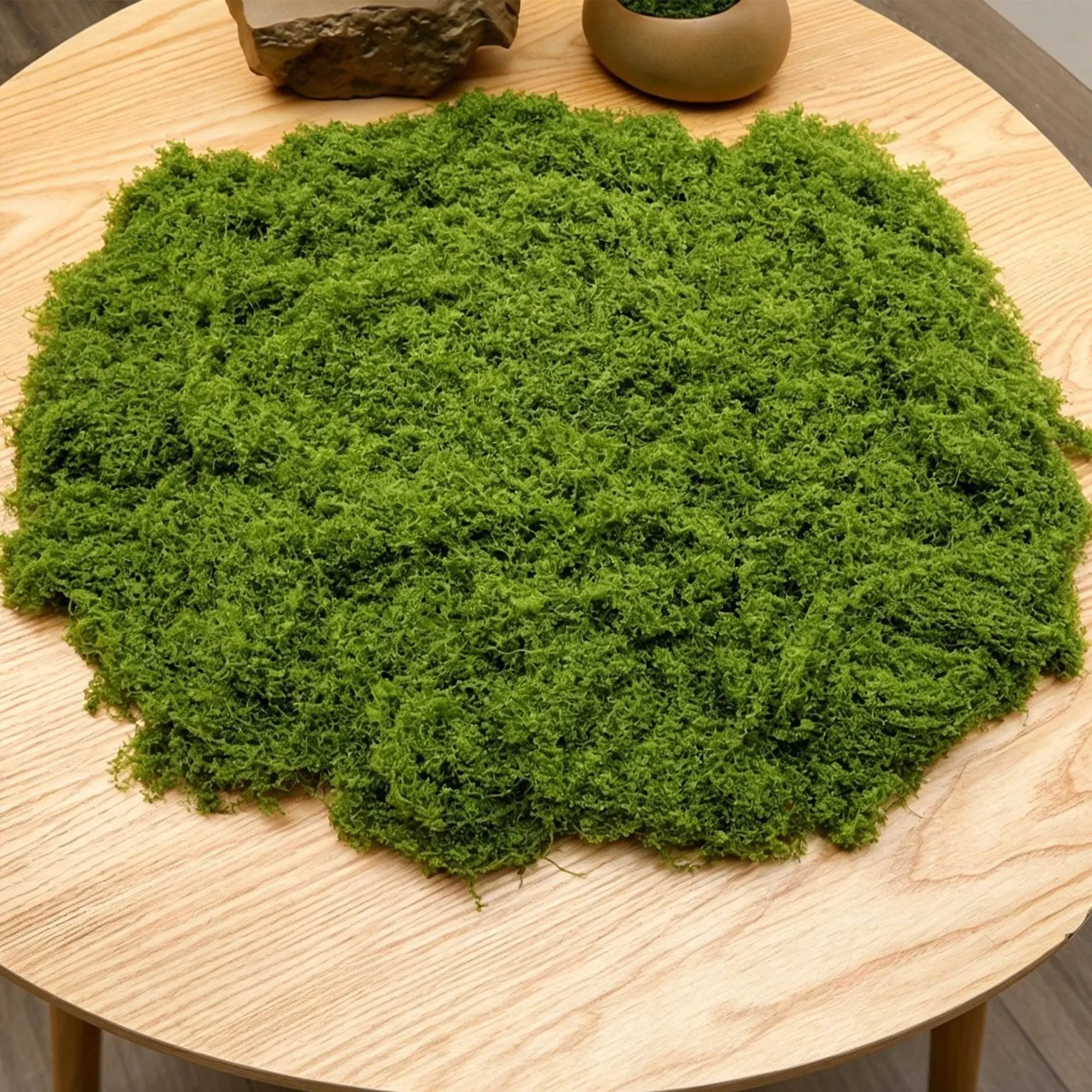 diy artificial moss lawn-Light Green Filamentous Moss 100g Wholesale Hub