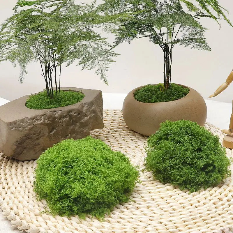 diy artificial moss lawn-Light Green Filamentous Moss 200g Wholesale Hub