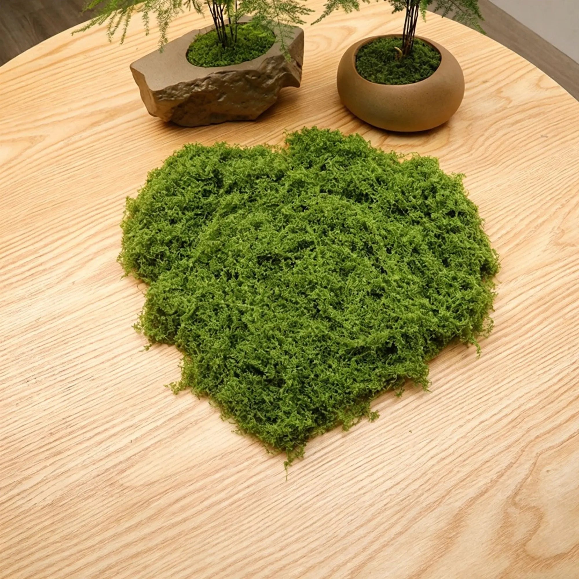 diy artificial moss lawn-Light Green Filamentous Moss 30g Wholesale Hub