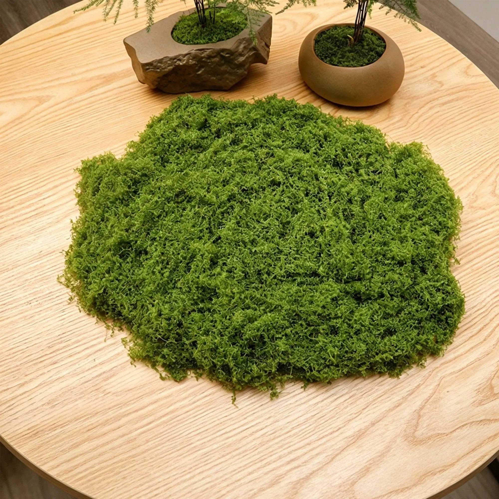 diy artificial moss lawn-Light Green Filamentous Moss 50g Wholesale Hub