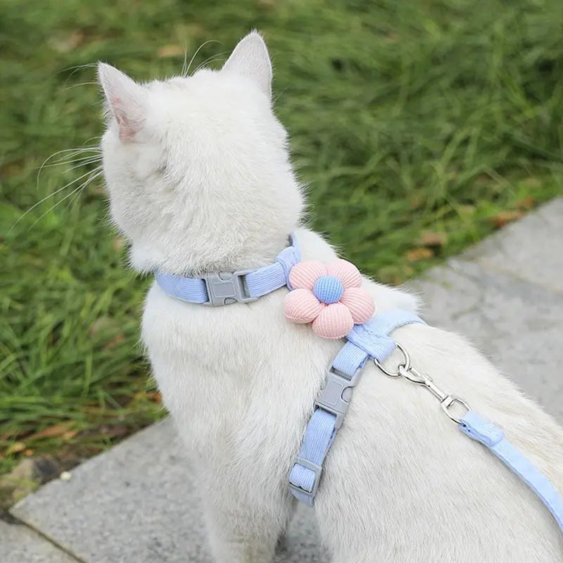 Pet Harness-Blue+1.2m Leash+Size M Wholesale Hub