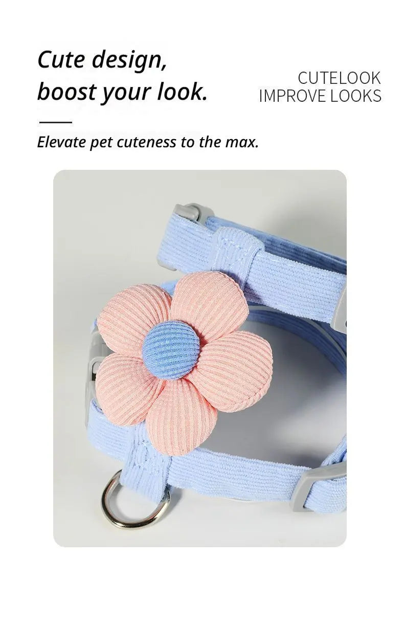 Pet Harness-Blue+1.2m Leash+Size M Wholesale Hub