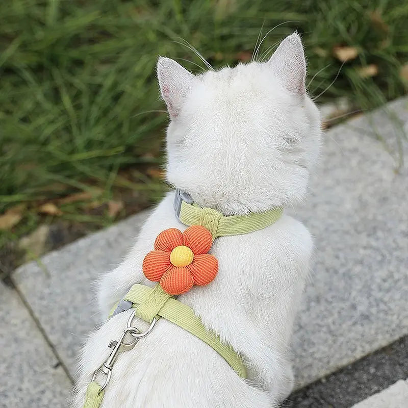Pet Harness-green+1.8m Leash+Size M Wholesale Hub