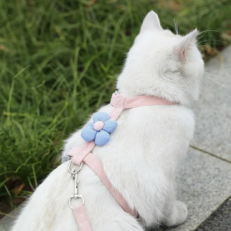 Pet Harness-pink+1.2m Leash+Size S Wholesale Hub