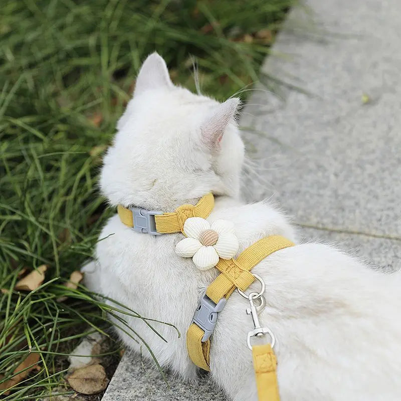 Pet Harness-yellow+1.2m Leash+Size S Wholesale Hub