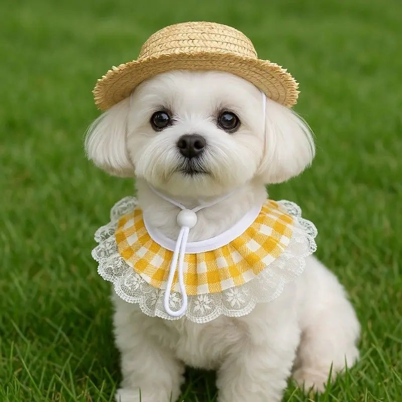 Straw Hat And Yellow Lace Bib Wholesale Hub
