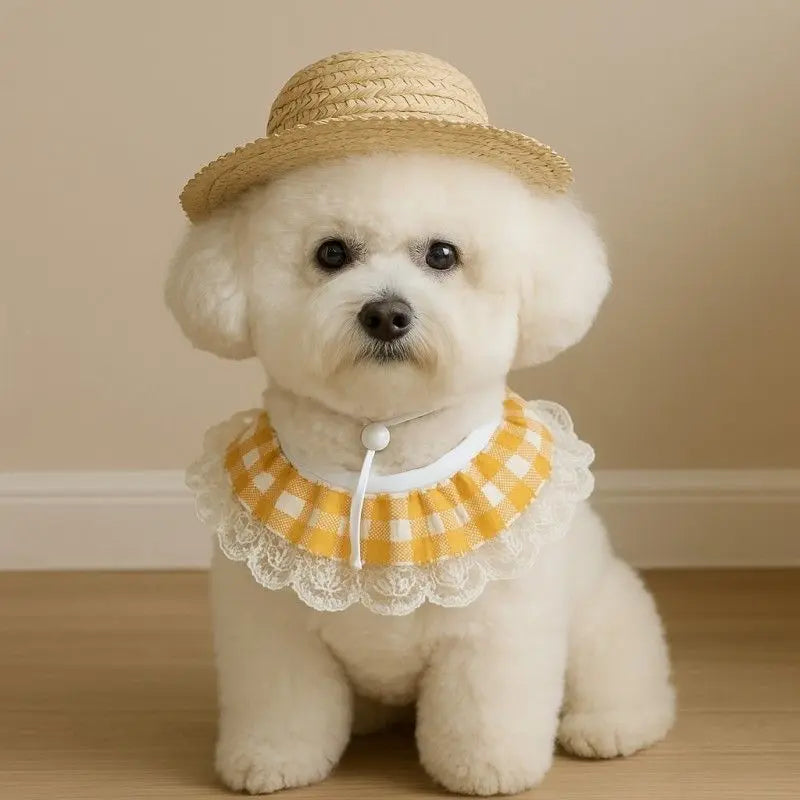 Straw Hat And Yellow Lace Bib Wholesale Hub