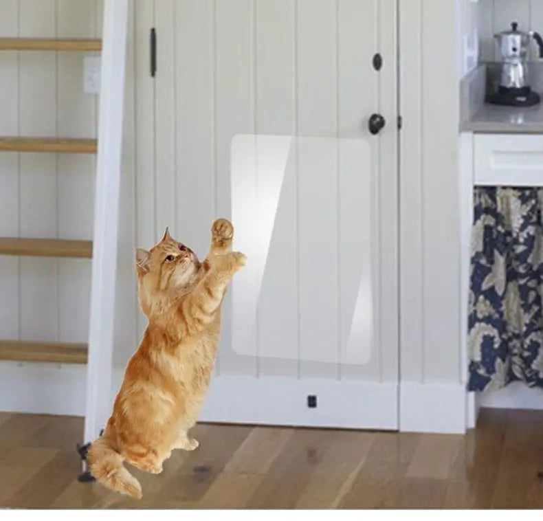 Cat Furniture Protector Against Scratching 30cmx5m Wholesale Hub