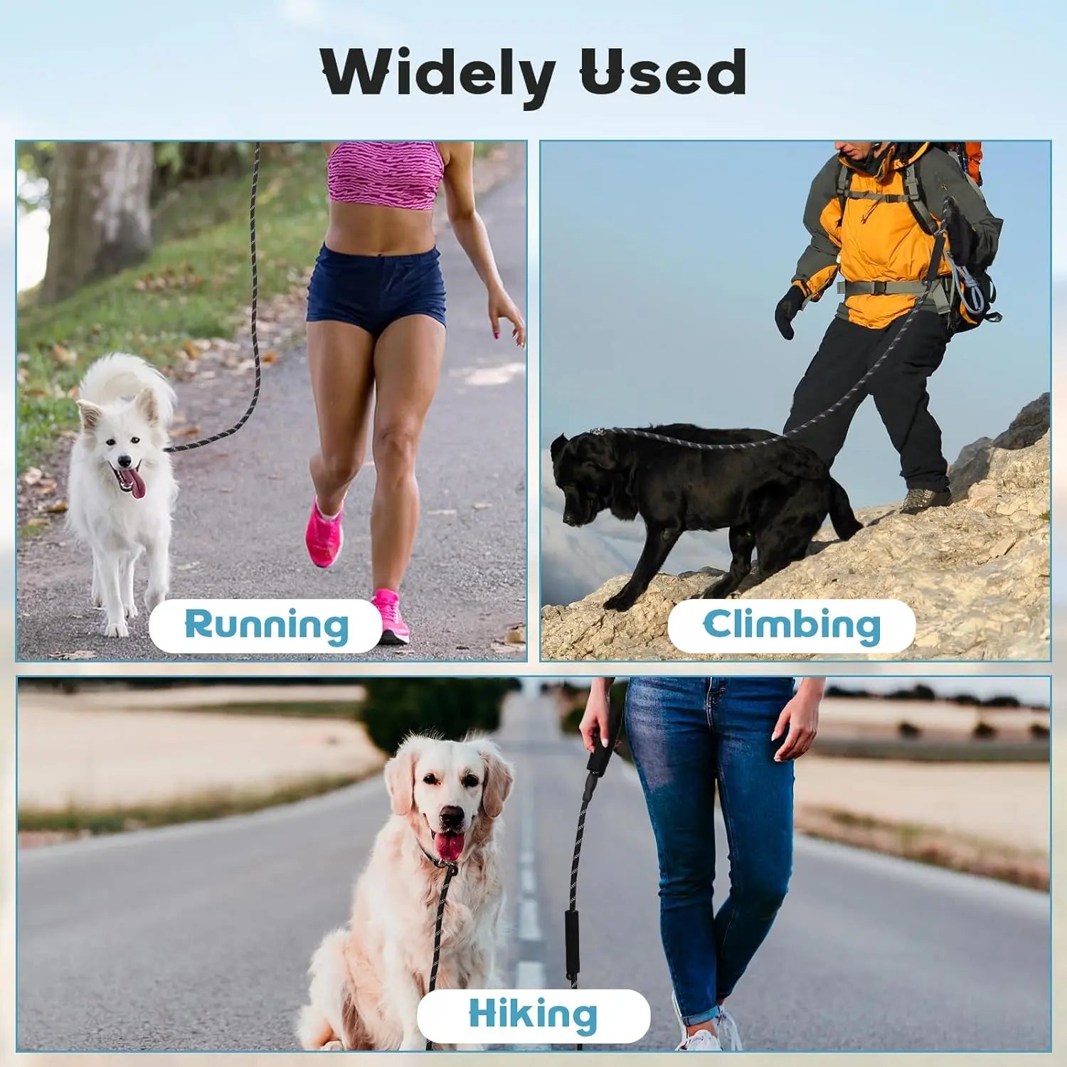 Dog Leash 6 FT with Comfortable Padded Handle, Training Loop Leash with Highly Reflective Threading for Medium Dogs, Black Wholesale Hub
