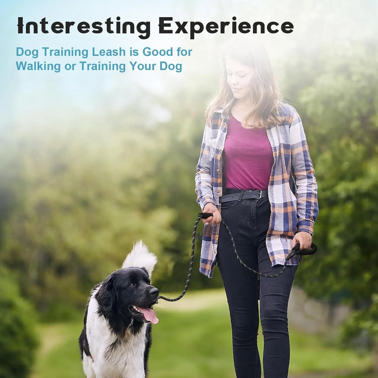 Dog Leash 6 FT with Comfortable Padded Handle, Training Loop Leash with Highly Reflective Threading for Medium Dogs, Black Wholesale Hub