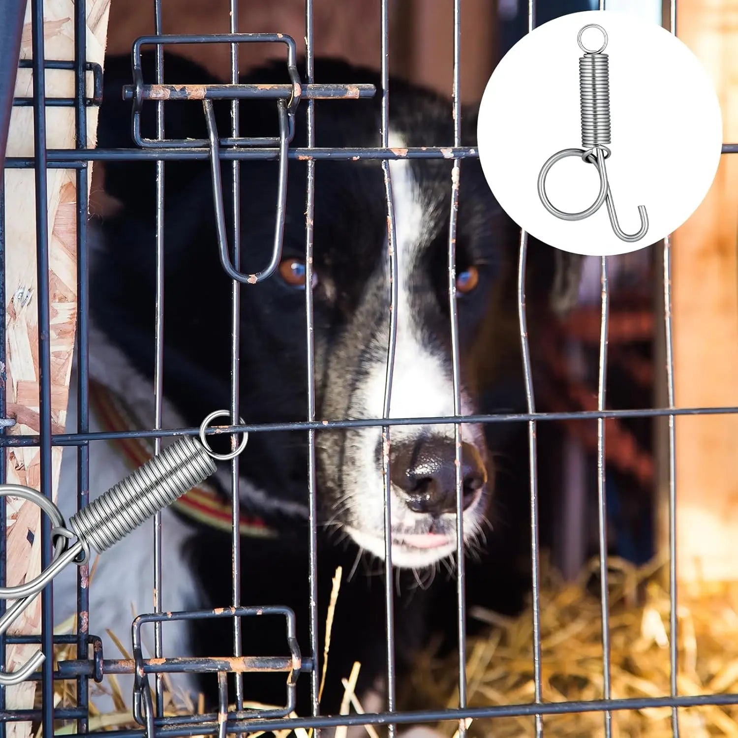 10 Pack Spring Cage Latch Door Spring Hook, Pet Door Latch Metal Finger Pet Cage Lock Wire Clips Rabbit Cages Accessories for Rabbit, Dog, Cat, Parrot, Guinea Pig, Small Animal Cages Doors (Large) Wholesale Hub