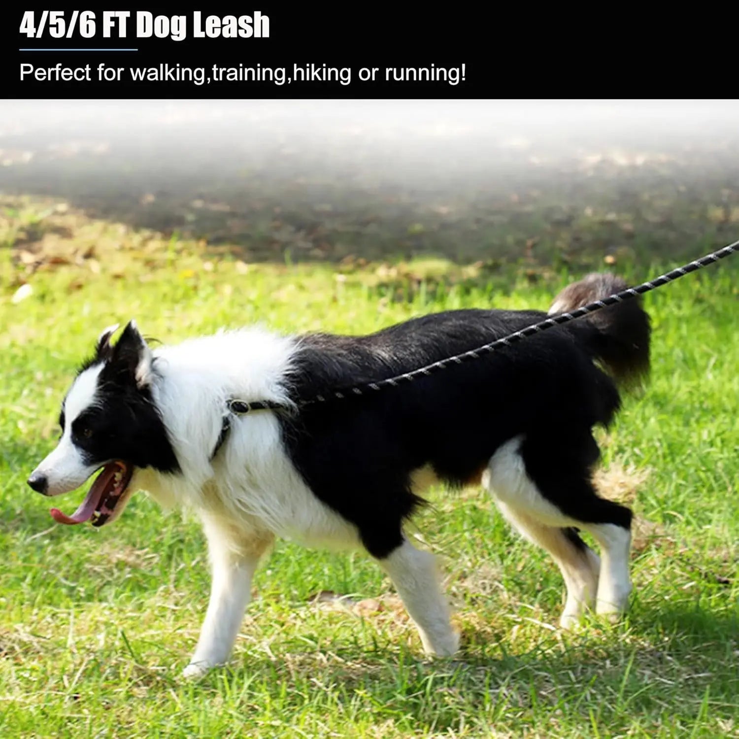 2 Pack Dog Leash, 4/5//6 FT Heavy Duty Nyl Rope Pet Leashes with Comfortable Padded Handle, Reflective Dog Leashes for Small Medium and Large Dogs (5FT-1/2,Black/Black) Wholesale Hub