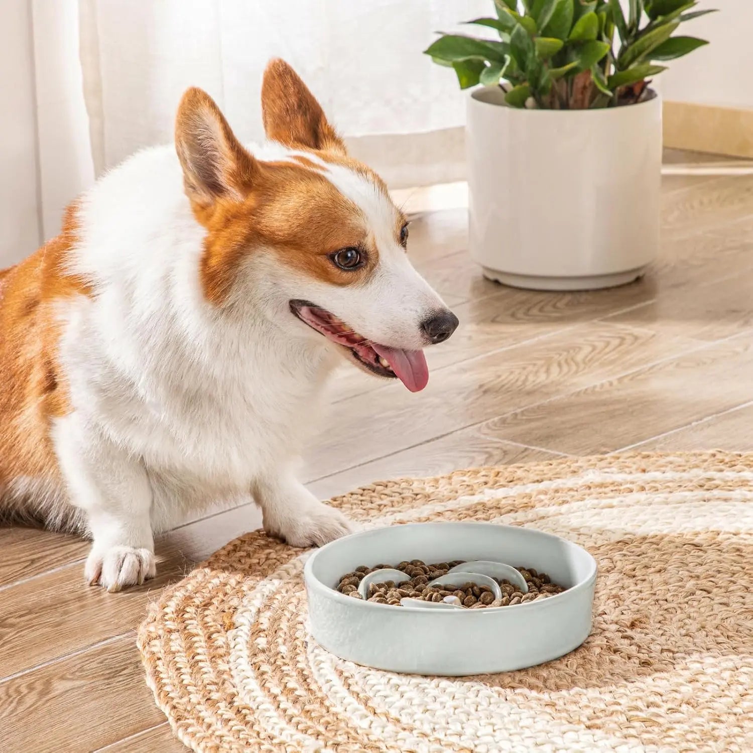 Slow Feeder Dog Bowl, 1.5 Cups Ceramic Dog Food Dish for Fast Eaters Small Breed, Puzzle Bowl for Small Dogs and Cats, Grayish Cyan Wholesale Hub